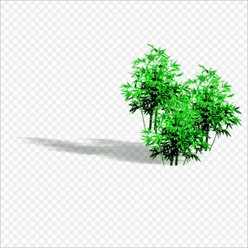 小草