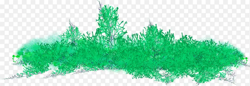 绿色草地