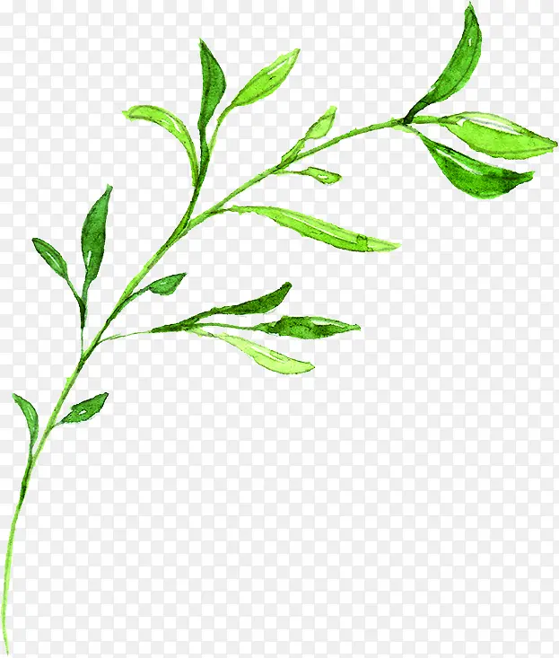 绿色文艺手绘文艺小草树枝