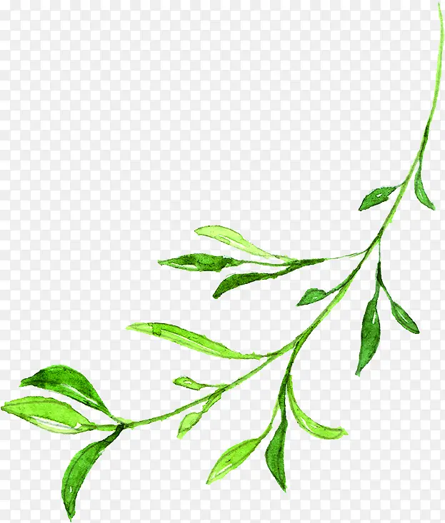 绿色手绘文艺小草树枝