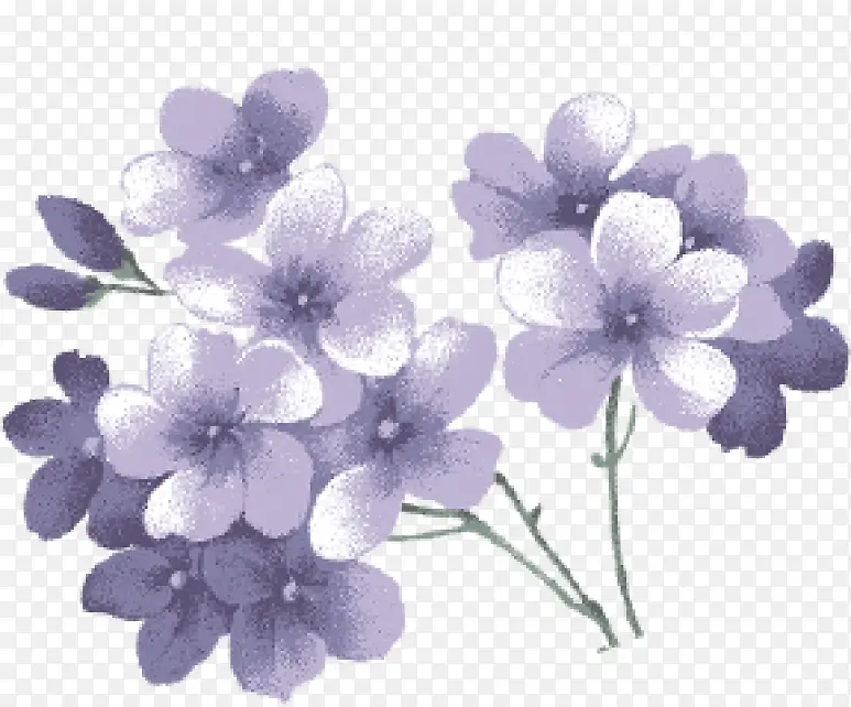 紫色水彩花朵花束
