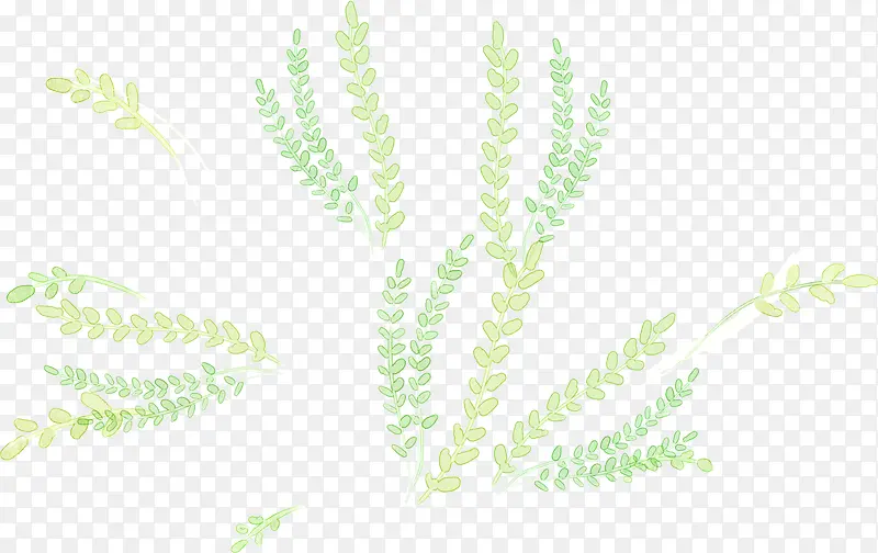 手绘绿色文艺植物装饰