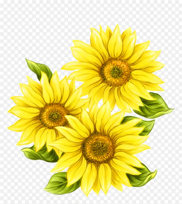 黄色手绘向日葵装饰图案