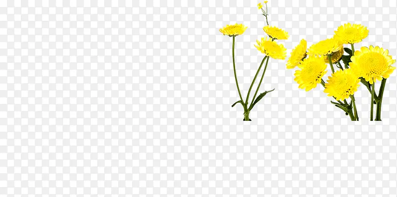 黄色向日葵装饰小花