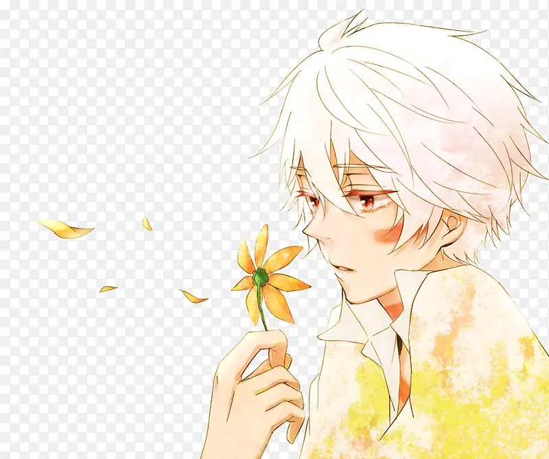 手拿菊花的男子