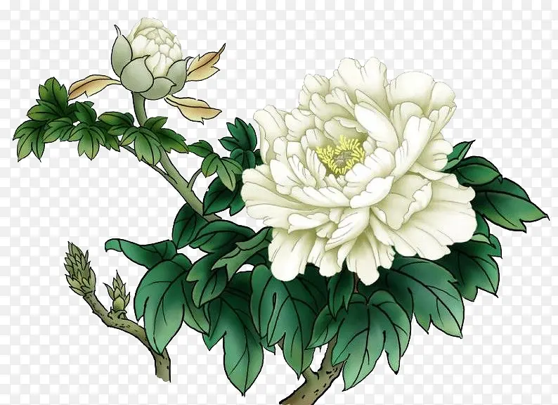 白色菊花素材手绘植物素材PNG图片素材下载_图片编号10415477-PNG素材网