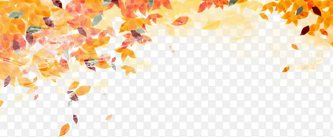 秋叶边框