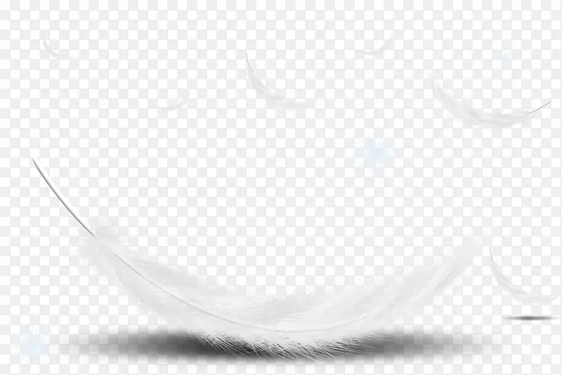 手绘白色漂浮羽毛