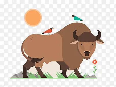 扁平化草原牦牛