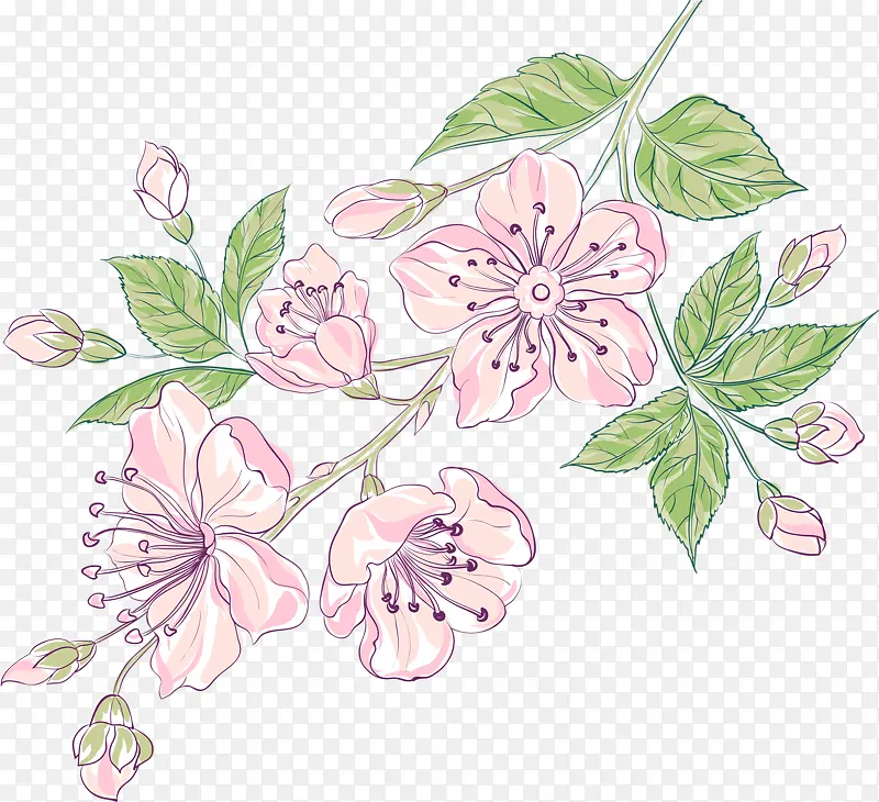 手绘桃花