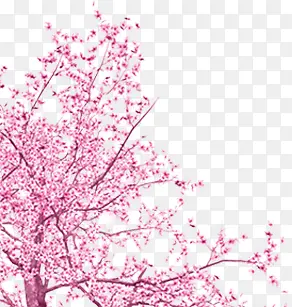 手绘粉色桃花树