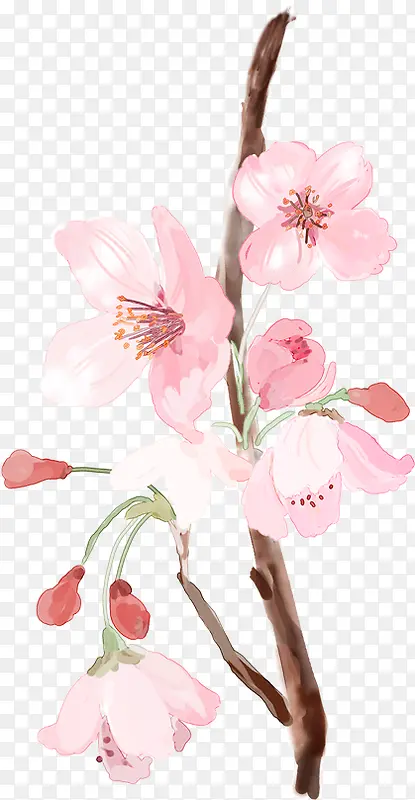 粉色淡雅古典桃花