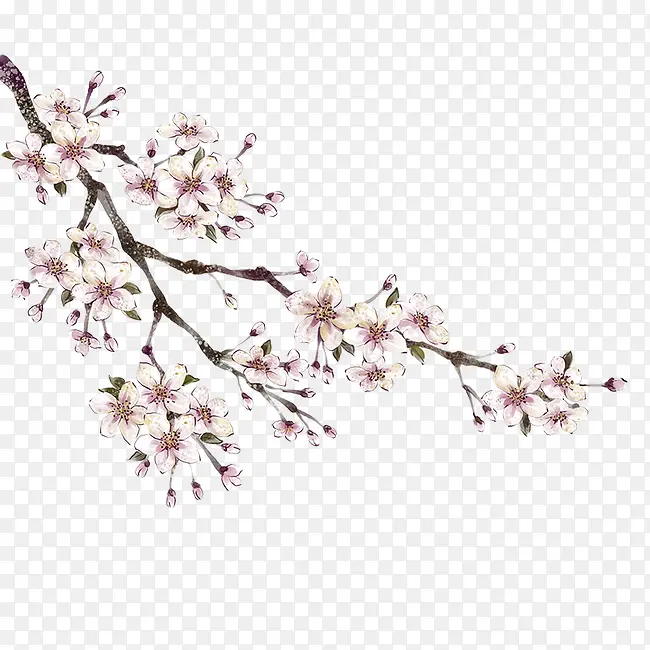 桃花枝PNG图片素材下载_图片编号10424174-PNG素材网