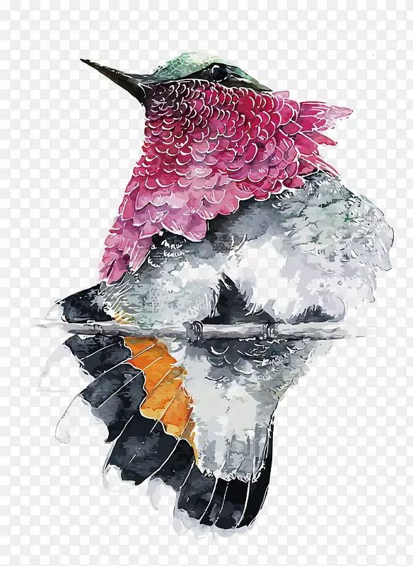 矢量鸟手绘