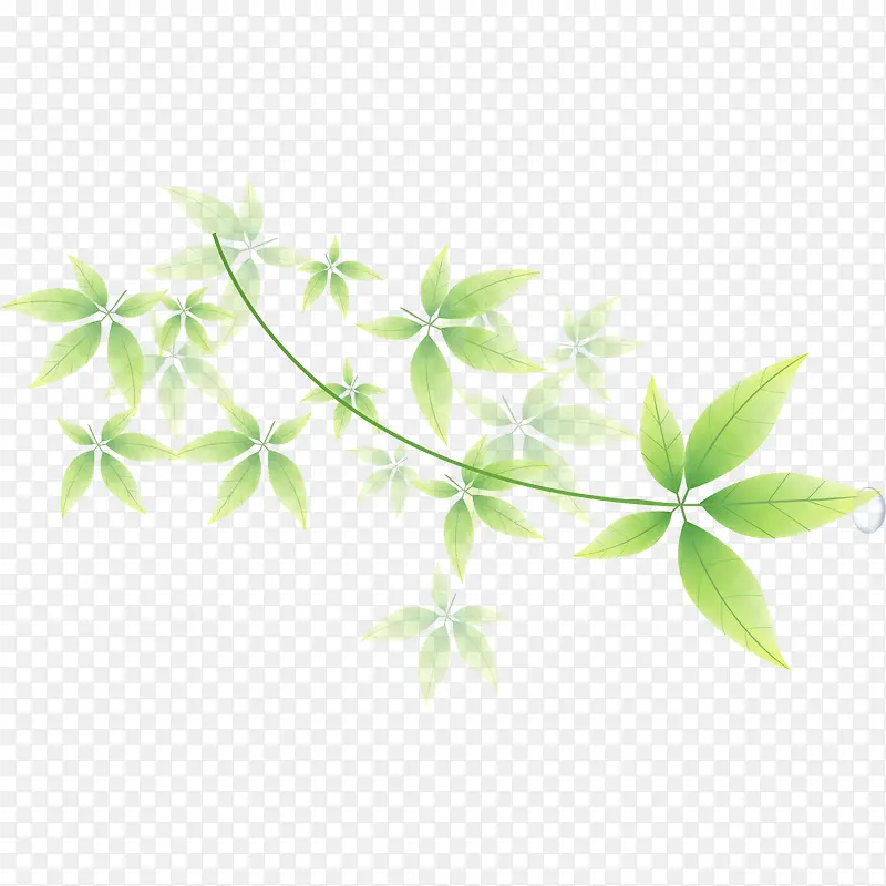 绿色花纹装饰叶子