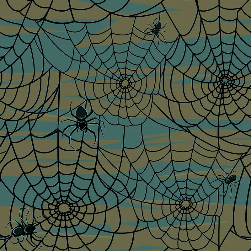 蛛蛛网背景