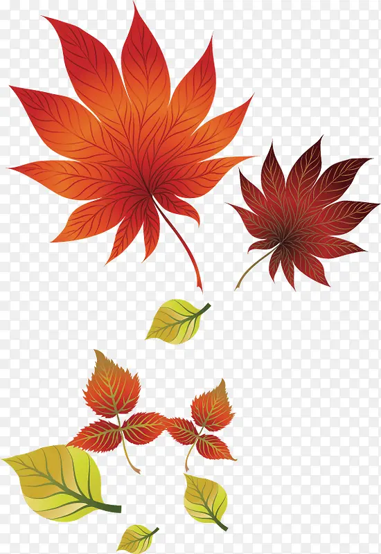 秋天树叶矢量背景装饰图案