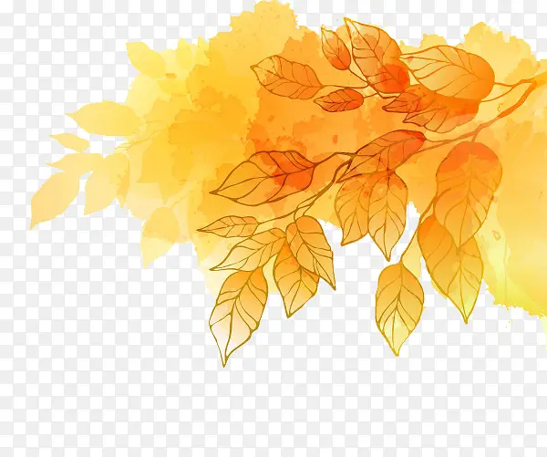 金黄秋季树叶
