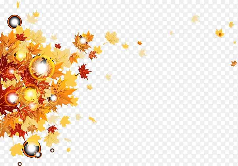 秋天的叶子矢量图