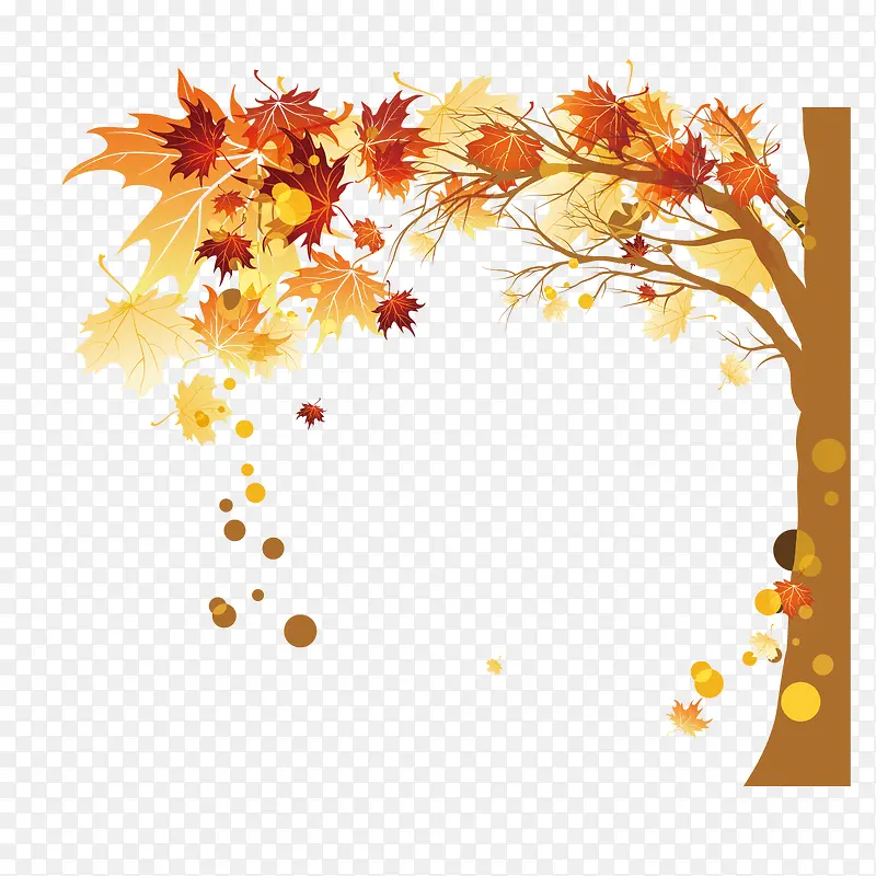 秋天 树叶 装饰