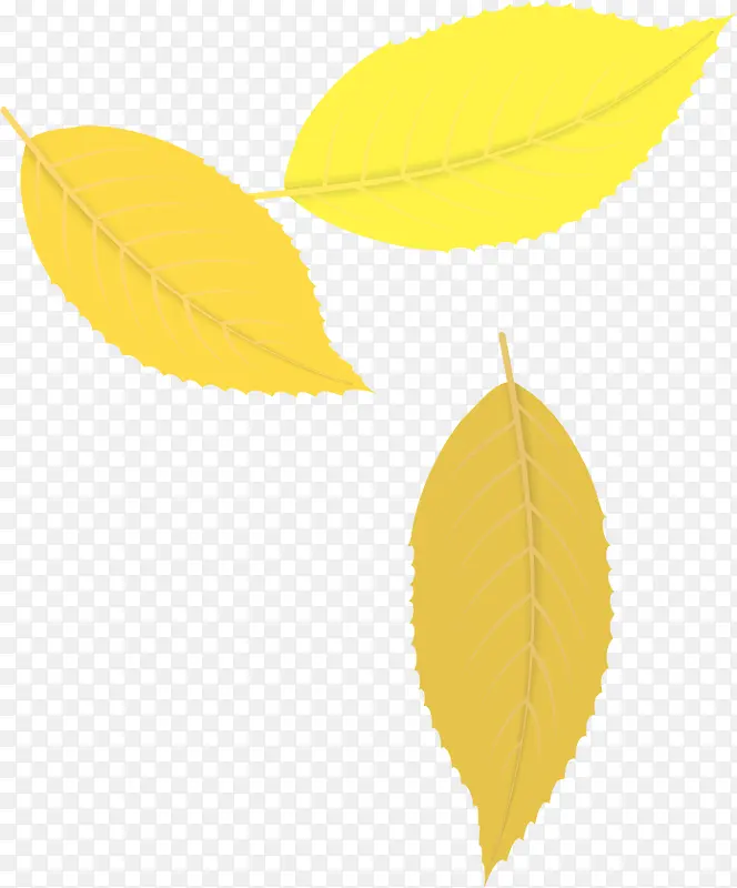 黄色树叶