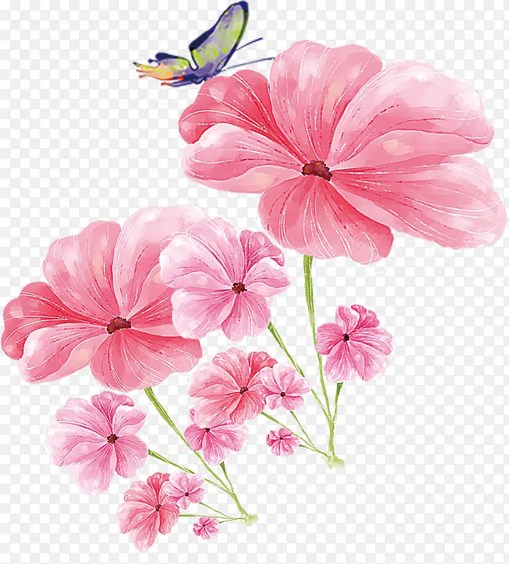手绘水彩粉色花朵蝴蝶