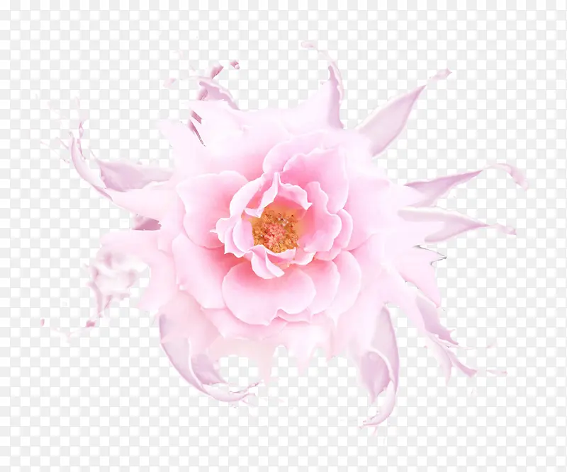 粉色花朵效果