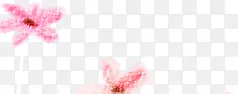 手绘粉色温馨花朵装饰