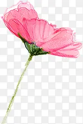 粉色可爱手绘花朵艺术