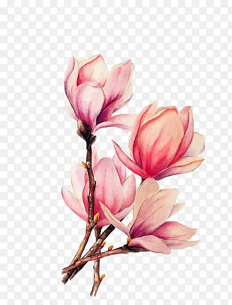 粉色花朵手绘设计