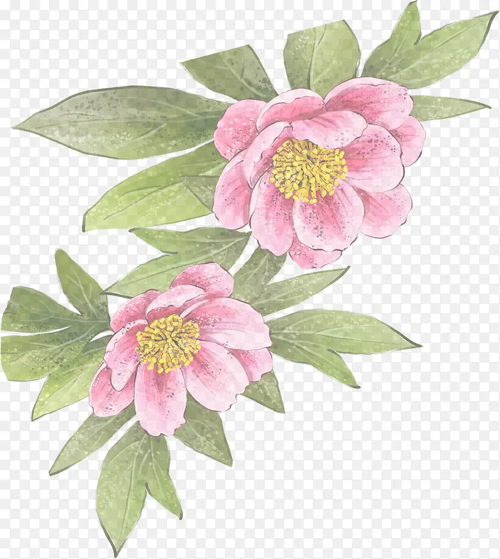 手绘粉色可爱水墨花朵