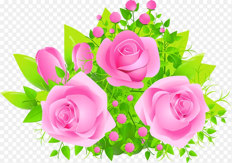 粉色玫瑰花朵美景