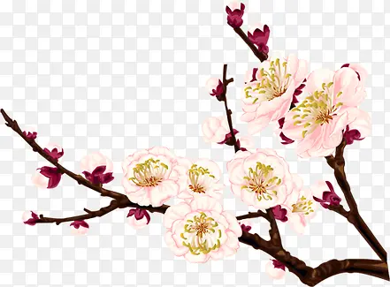 粉色高清花朵新年树枝