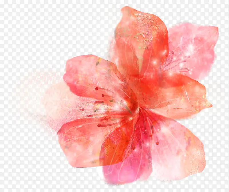 手绘粉色春日花朵