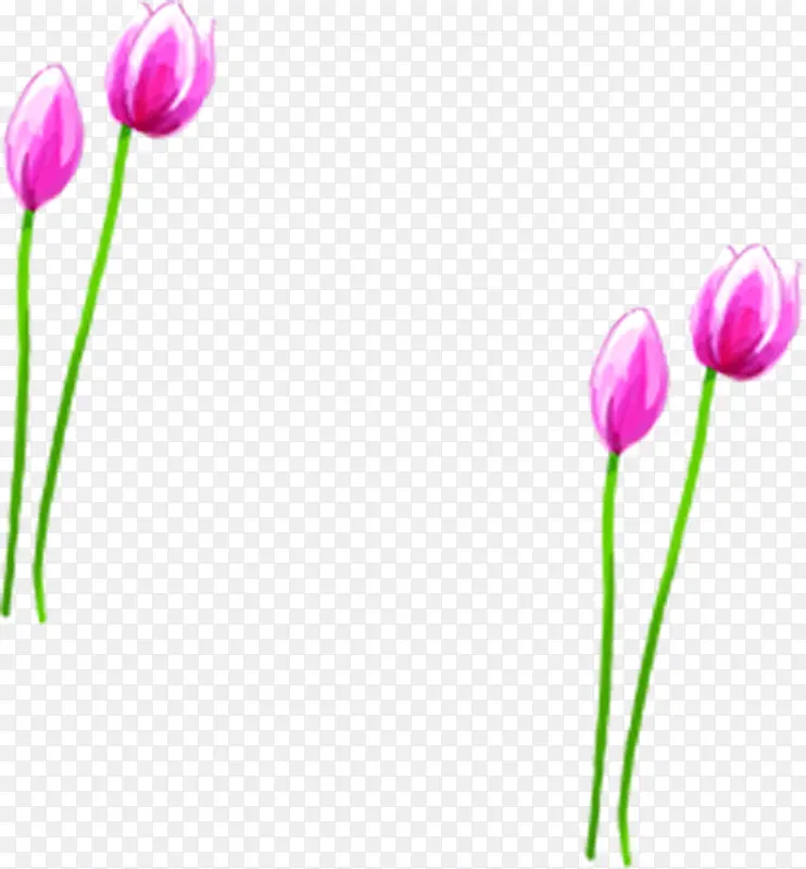 粉色手绘花朵植物创意