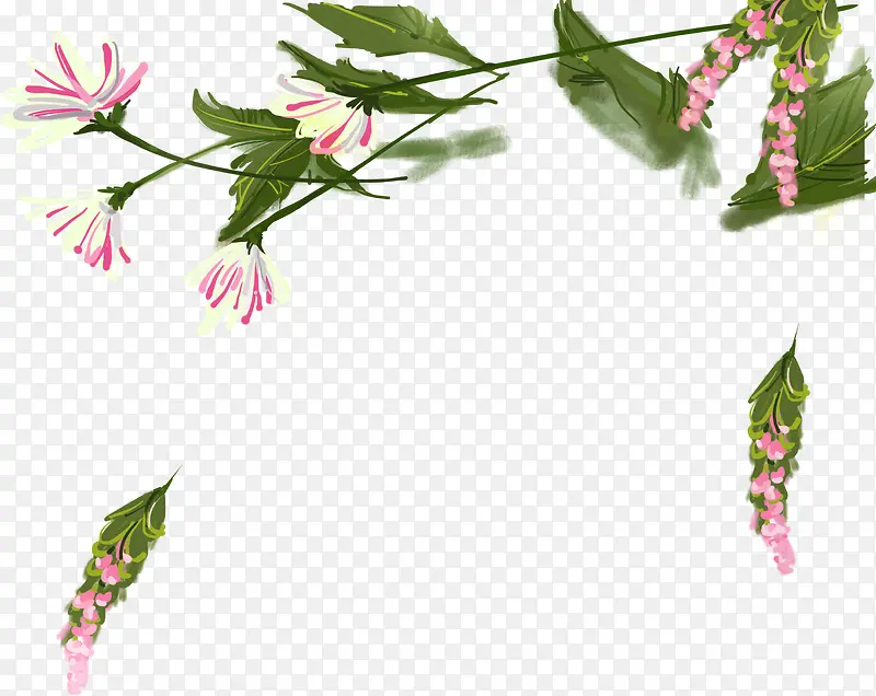 粉色创意植物花朵
