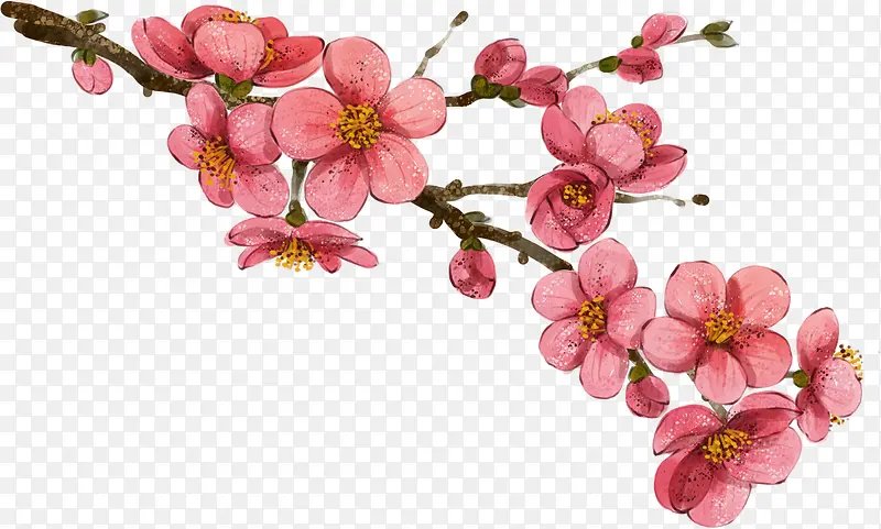手绘复古粉色水彩花朵树枝