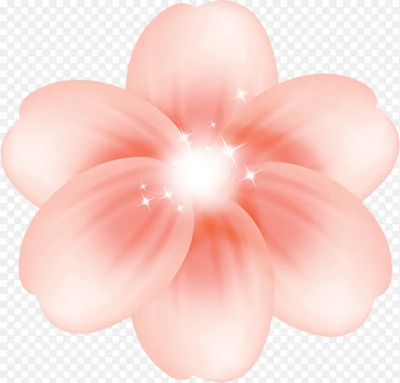 手绘粉色温馨花朵植物