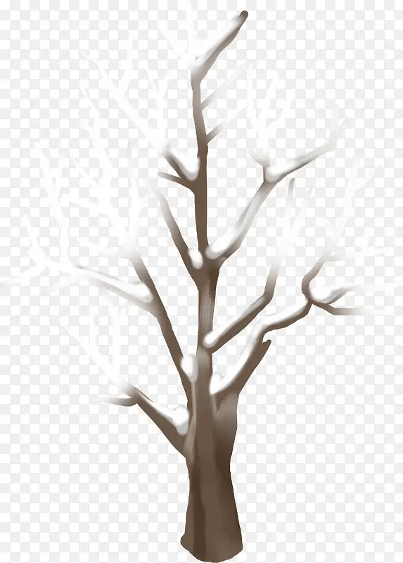 手绘冬季树枝插图