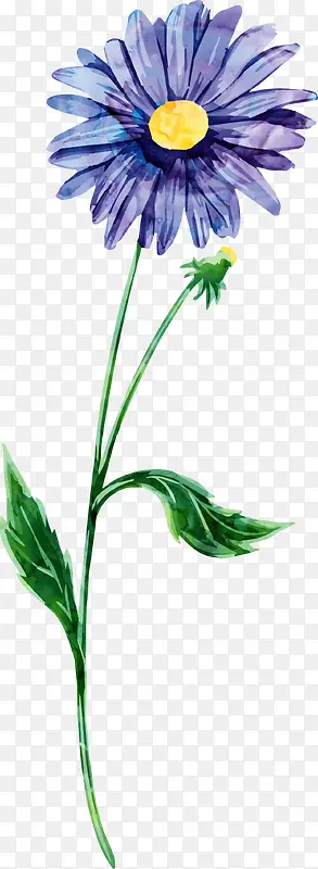 手绘花朵