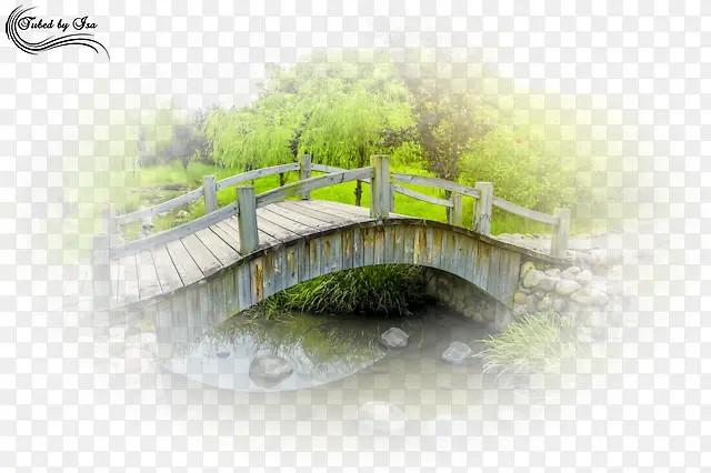水彩花卉花草ps素材