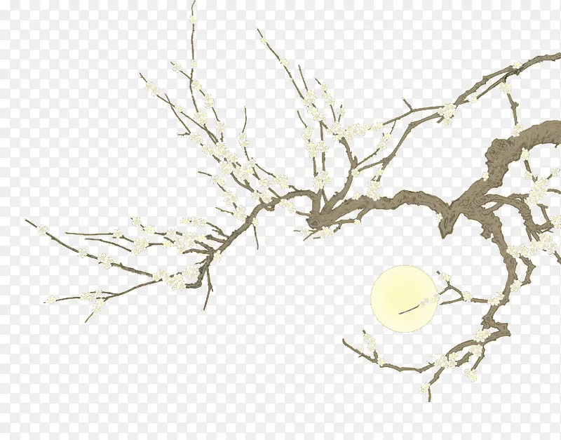 梅花古典手绘树枝
