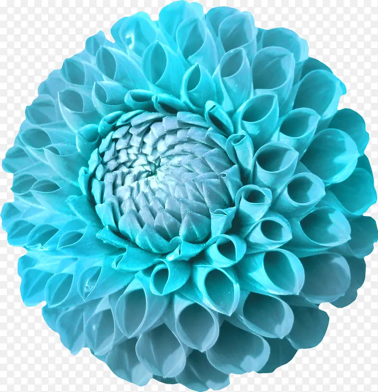 花草图案素材手绘花卉素材