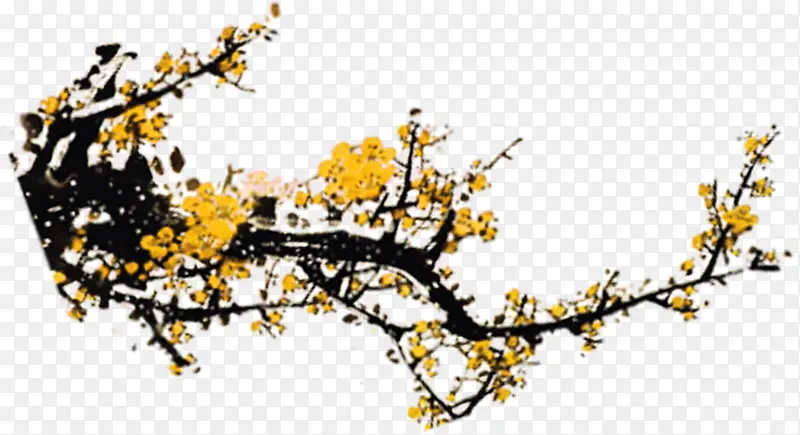 手绘黄色小花树枝