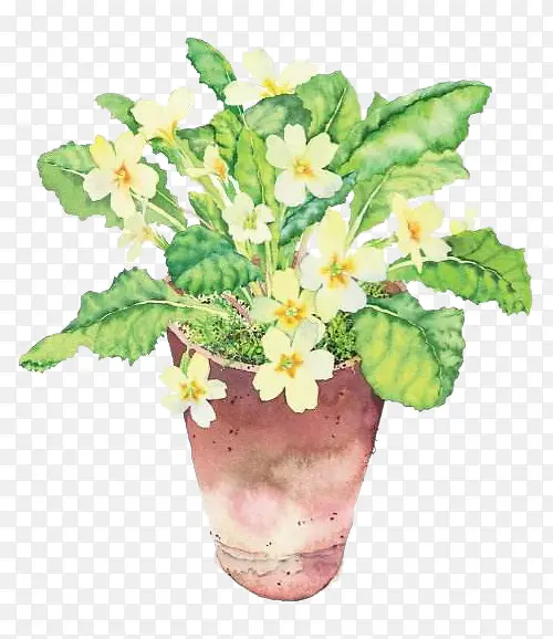 手绘水彩植物PNG