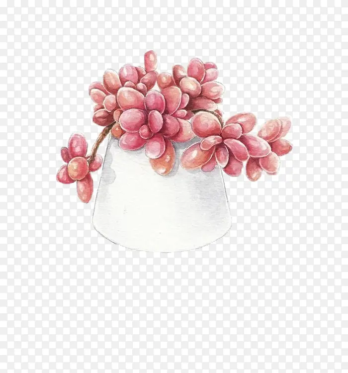 手绘植物