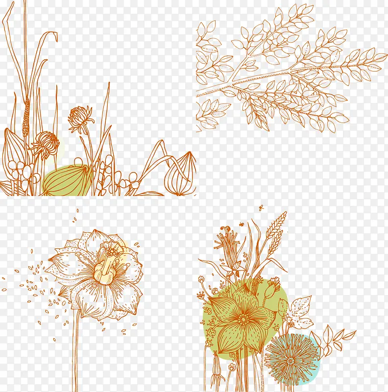 矢量手绘线条花朵植物