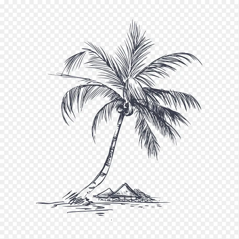 椰子树 手绘