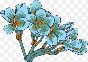 手绘清新蓝色花朵树枝