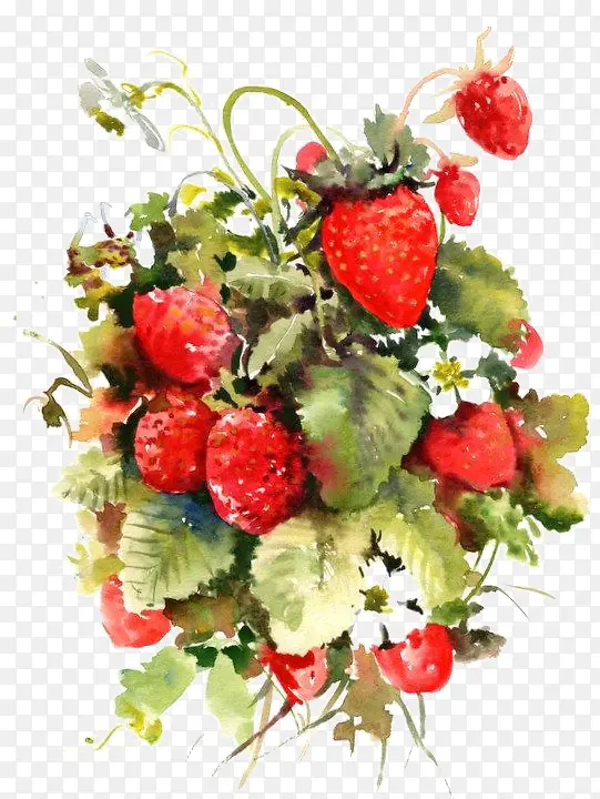 手绘水彩草莓
